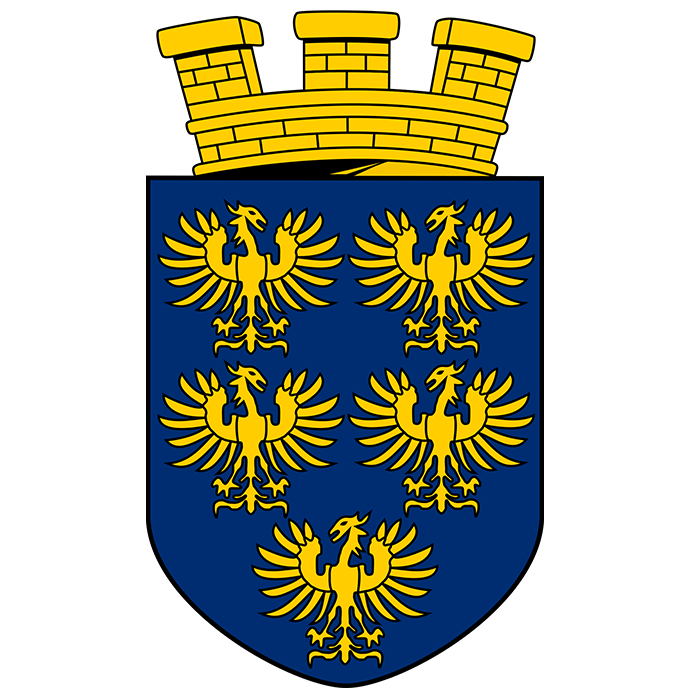 custom-image