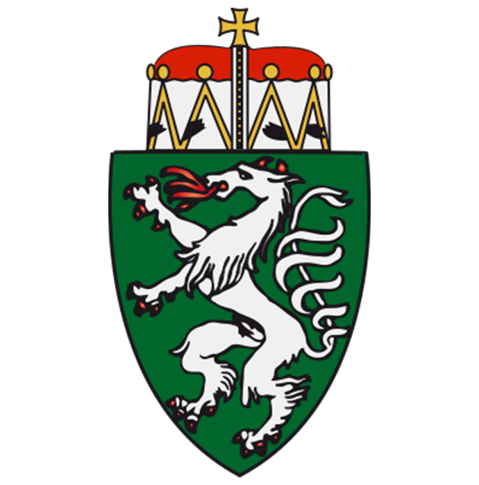 custom-image